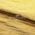 Текстильный материал "Диско"#1805 с покрытием РЕТ, 40гр/м2, 100% полиэстер, цв.5-золото - купить в Белгороде. Цена 412.36 руб.