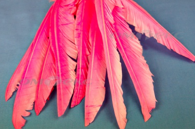 Декоративный Пучок из перьев, перо 25см/розовый - купить в Белгороде. Цена: 14.40 руб.