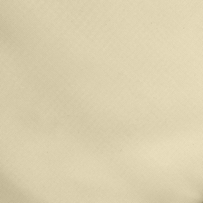 Ткань подкладочная Таффета 14-1014, антист., 53 гр/м2, шир.150см, цвет бежевый - купить в Белгороде. Цена 62.37 руб.