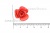 Украшение "Розы малые №1" 20мм - купить в Белгороде. Цена: 32.49 руб.