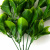 Трава искусственная -1, шт (эвкалипт лист 32 см/8 см)				 - купить в Белгороде. Цена: 169.93 руб.
