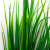 Трава искусственная -2, шт (осока 41см/8 см)				 - купить в Белгороде. Цена: 104.57 руб.