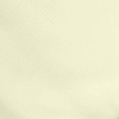 Ткань подкладочная Таффета 12-0703, антист., 53 гр/м2, шир.150см, цвет св.бежевый - купить в Белгороде. Цена 62.37 руб.