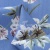 Плательная ткань "Фламенко" 12.1, 80 гр/м2, шир.150 см, принт растительный - купить в Белгороде. Цена 241.49 руб.