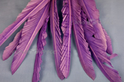 Декоративный Пучок из перьев, перо 25см/фиолетовый - купить в Белгороде. Цена: 12.19 руб.