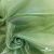Ткань органза, 100% полиэстр, 28г/м2, шир. 150 см, цв. #27 зеленый - купить в Белгороде. Цена 86.24 руб.