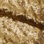 Сетка с пайетками №3, 188 гр/м2, шир.140см, цвет золотой - купить в Белгороде. Цена 454.12 руб.