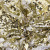 Трикотажное полотно, Сетка с пайетками, шир.130 см, #315, цв.-белый/золото - купить в Белгороде. Цена 693.39 руб.