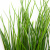 Трава искусственная -4, шт  (осока 50 см/8 см  7 листов)				 - купить в Белгороде. Цена: 130.73 руб.