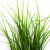 Трава искусственная -3, шт (осока 50 см/8 см  5 листов)				 - купить в Белгороде. Цена: 124.17 руб.